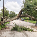 An Opportunity For Equity After Hurricanes Milton